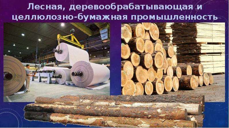 Целлюлозная и деревообрабатывающая промышленность