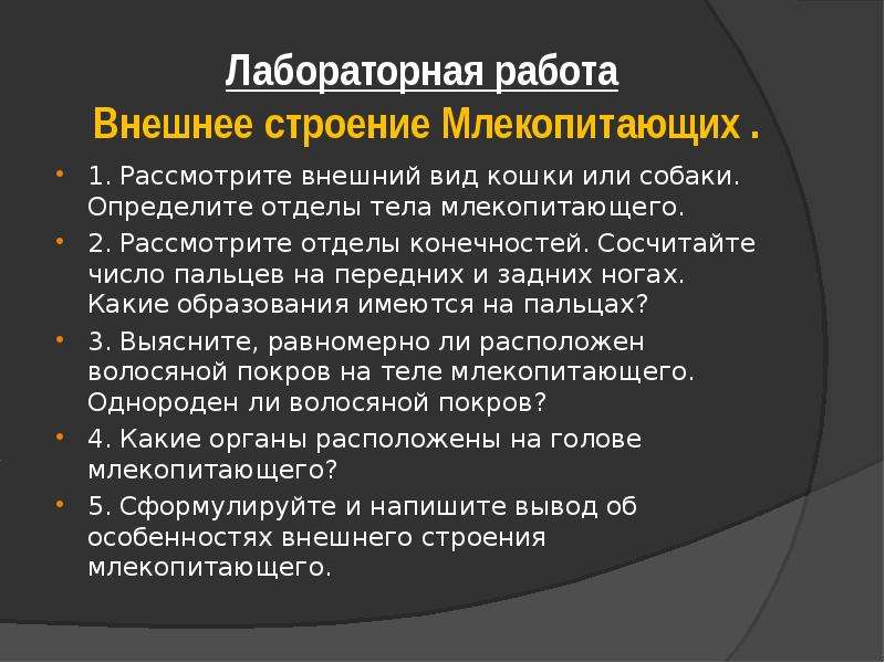 Определите отделы. Лабораторная работа внешнее строение млекопитающих. Лабораторная работа изучение внешнего строения млекопитающих. Лабораторная работа изучение строения млекопитающих. Лабораторная работа изучение внутреннего строения млекопитающих.