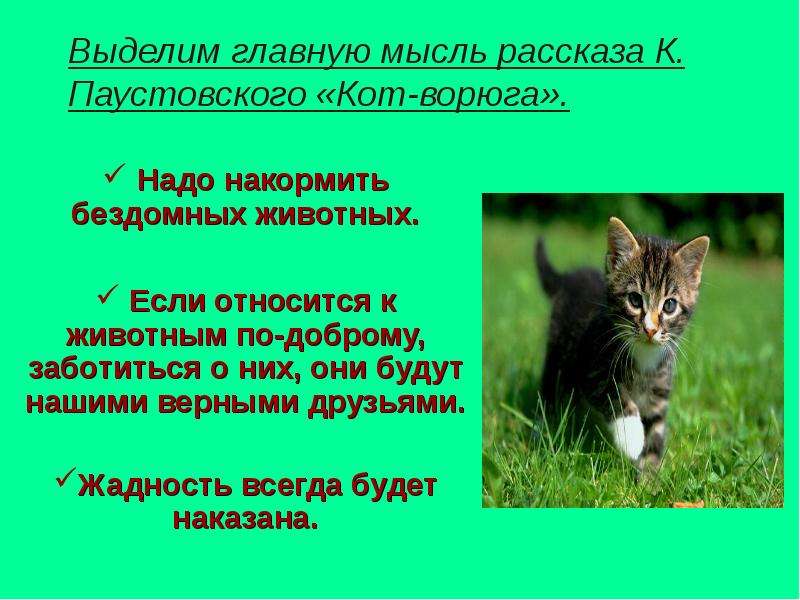 План по рассказу кот ворюга