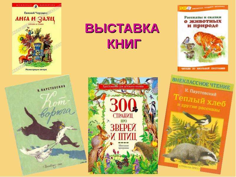 Проект книга рассказов о животных в серии школьная библиотека