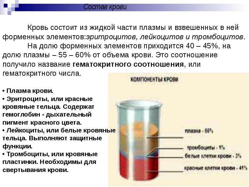 Состоит из плазмы и форменных. Соотношение плазмы и форменных элементов крови составляет. Соотношение плазмы и форменных элементов крови в процентах. Кровь состоит из жидкой части плазмы крови. Состав крови плазма крови форменные элементы.