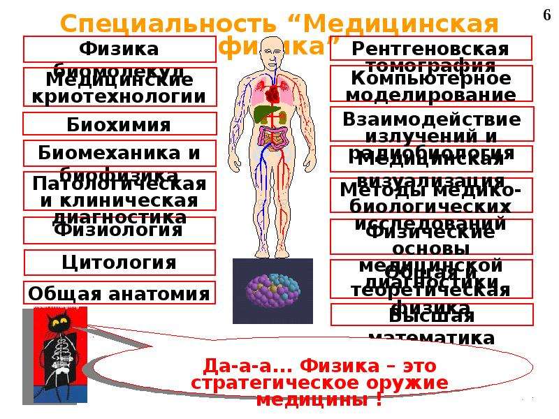 Медицинская физика