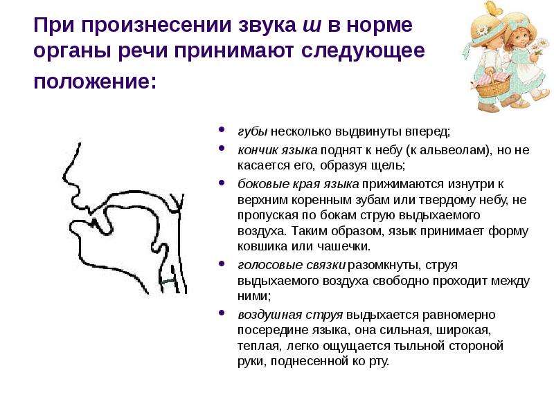 Положение языка. Положение языка при произнесении звука ш. Положение языка при произнесении звука с. Правильная артикуляция при произнесении звуков. Положение органов артикуляции при произнесении звука ш.