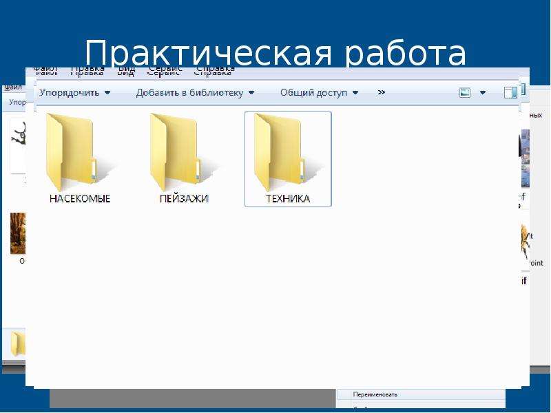 Выполнить практически. Практическая работа по теме файлы и папки. Папка для практических работ. Папка это в информатике. Файлы и папки 3 класс.