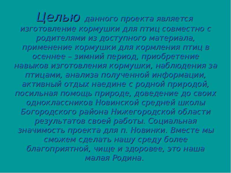 Экономическое обоснование проекта по технологии кормушка для птиц