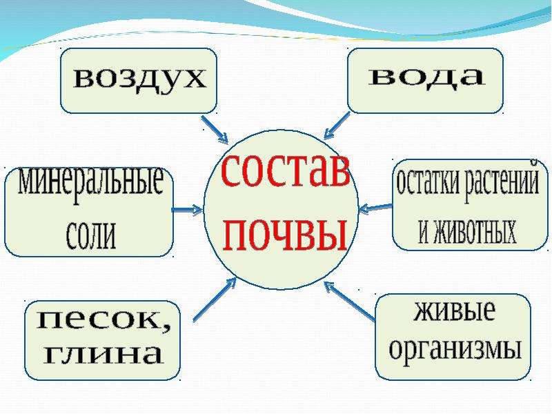 Состав почвы 3 класс окружающий мир схема