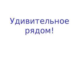 Удивительное рядом!