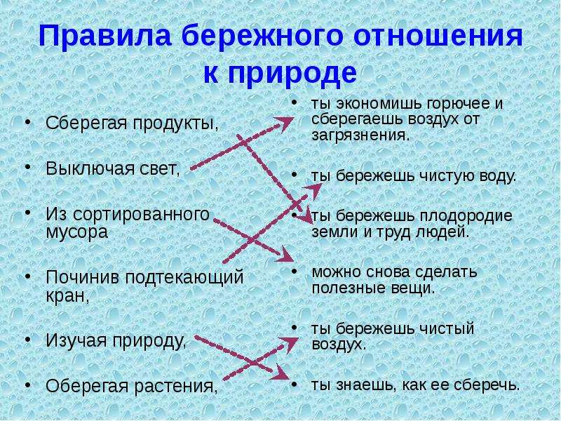 Правила бережного отношения к природе картинки