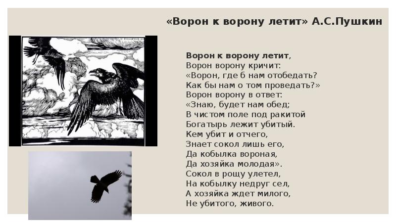 Читать тень ворона полностью. Баллада Пушкина ворон к ворону летит. Стих Пушкина ворон к ворону. Ворон стих Пушкин. Ворон стихотворение Пушкина.