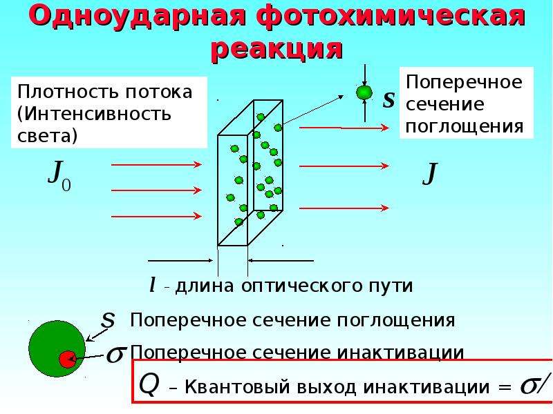 Фотохимические реакции. Первичные фотохимические реакции. Первичные фотохимические процессы. Фотохимические превращения ДНК.