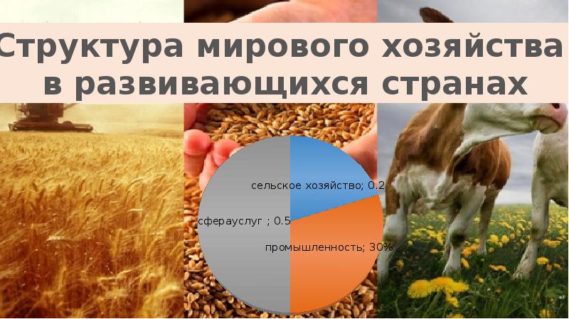 Мировое сельское хозяйство 10 класс. География сельского хозяйства. Мировое хозяйство сельское хозяйство.