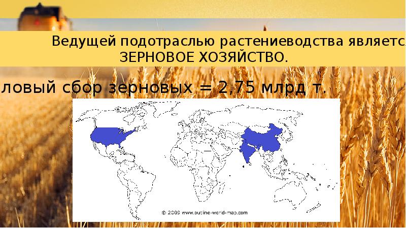 Растениеводство в россии карта