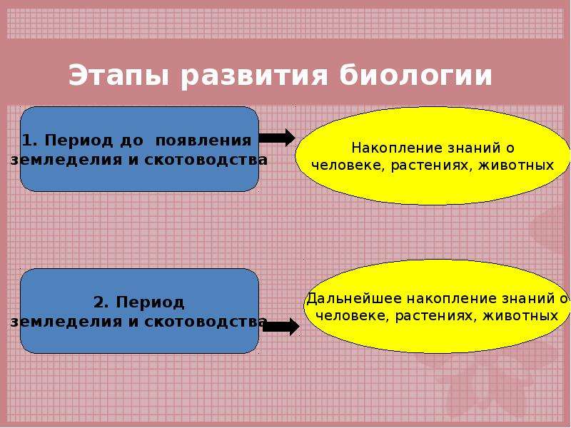 История биологии. Проект методы исследования в биологии. Методы биологии презентация. Этапы исследования в биологии. История развития биологии и методы исследования в биологии проект.