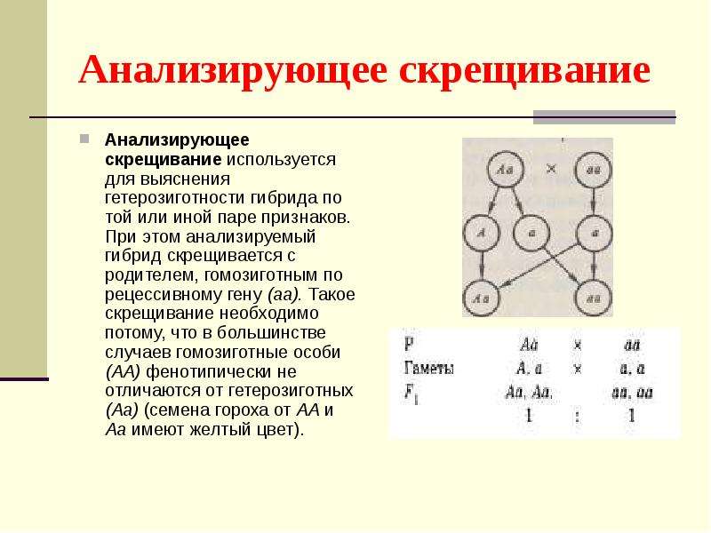 Анализирующее скрещивание признаки