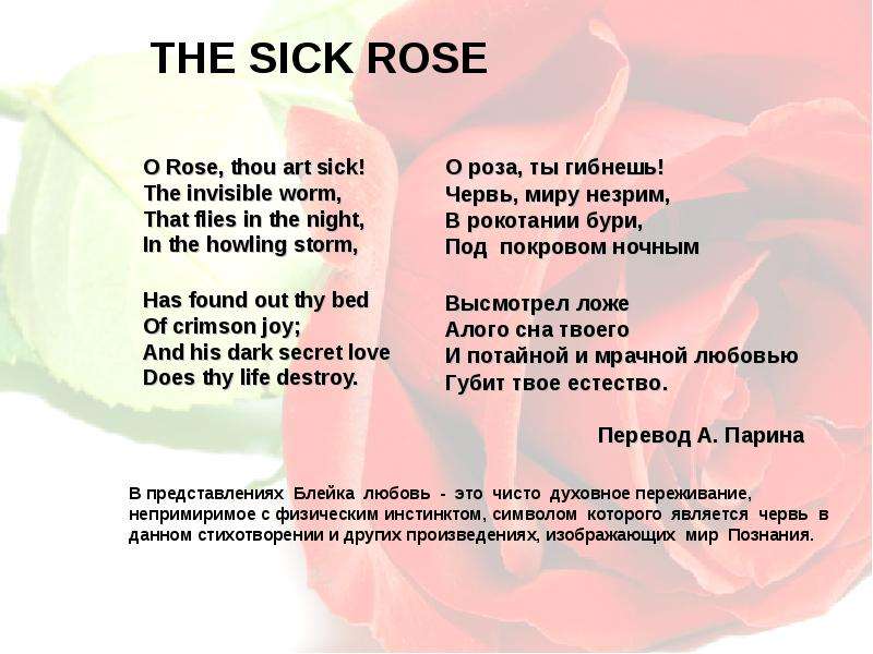 Как переводится rise. The sick Rose. Sick перевод. Переводчик sick. Перевод стихотворения in the Dark.