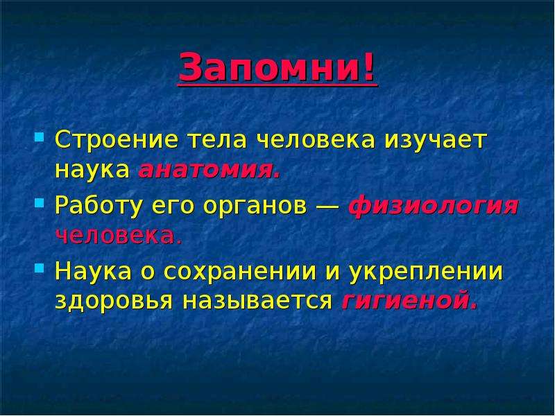 Наука изучающая условия. Наука изучающая строение организма. Строение тела человека изучает. Строение организма и его органов изучает. Наука изучающая работу органов человека.