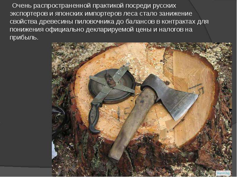 Очень распространенной практикой посреди русских экспортеров и японских импортеров леса стало заниже