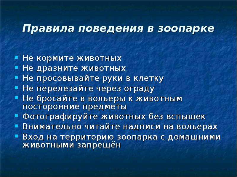 Что такое зоопарк 1 класс. Презентация зоопарк. Презентация на тему зоопарк. Презентация на тему зоопарк 1 класс окружающий мир. Презентация про зоопарк 1 класс.