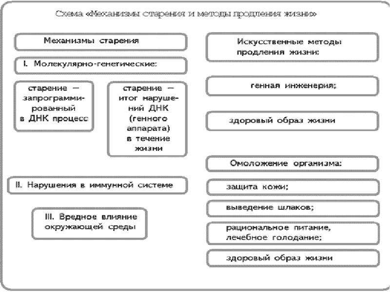 Проект на тему старение человека и возможность бессмертия