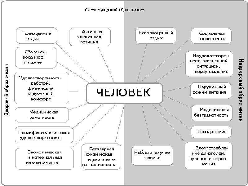 Здоровье человека схема - 88 фото