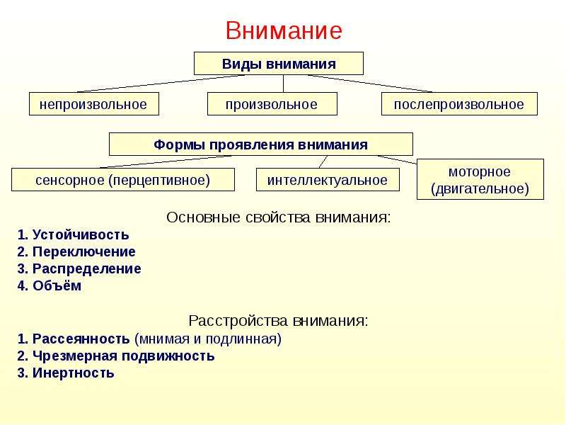 Общая психология презентация