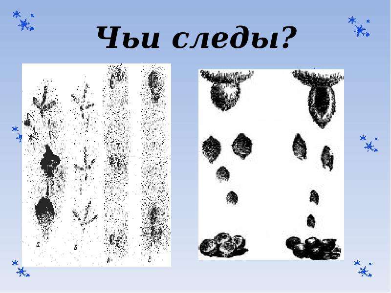 Картинки чьи следы. Чьи следы?. Чьи следы в круге. Чьи следы на снегу в городе. Сказка чьи следы.