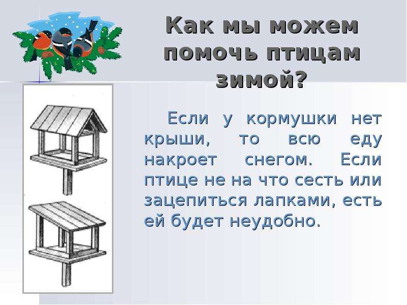 1 класс как зимой помочь птицам презентация 1 класс школа россии