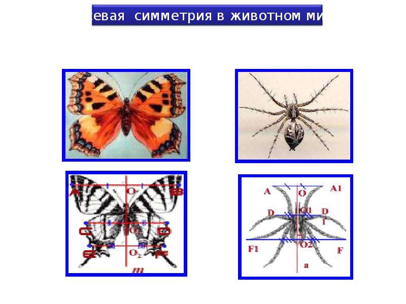 Презентация симметрия 1 класс начальная школа 21 века урок 1