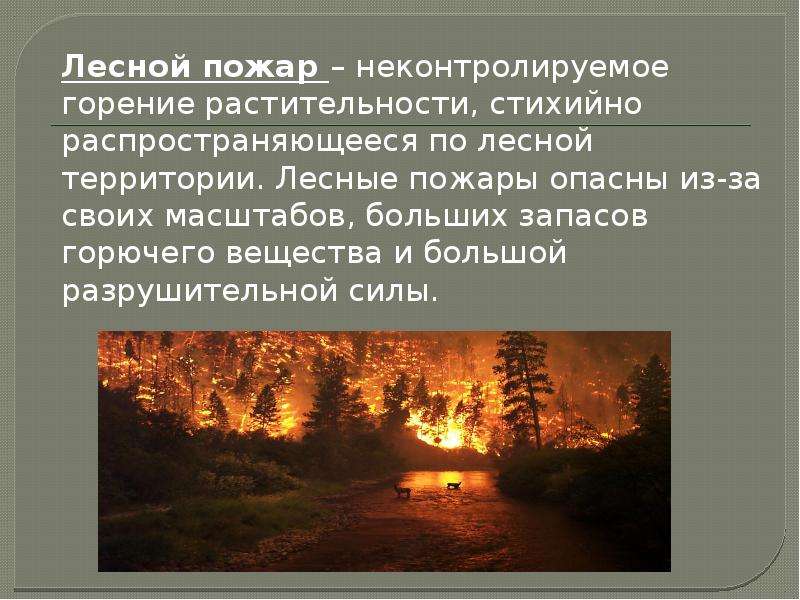 Лесной пожар задачи. Природные пожары презентация. Презентация по теме Лесные пожары. Презентация на тему природные Лесные пожары. Лесной пожар это определение.