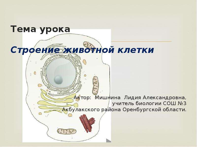 Урок строение. Тема урока строения животной клетки. Вопросы на тему клетка. Урок строение клетки ЗПР. Строение клетки биология средняя школа.