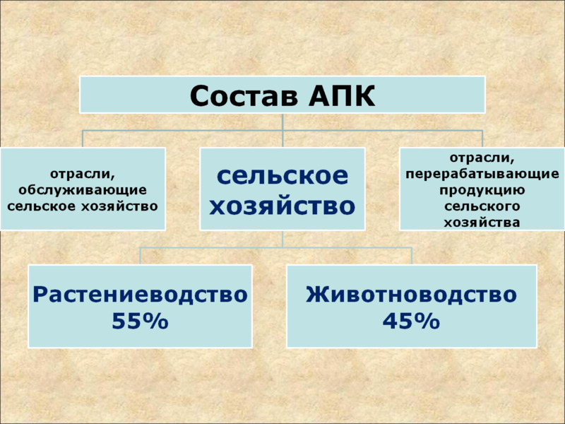 Отрасли хозяйства схема