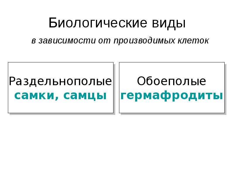 Презентация на тему половое размножение