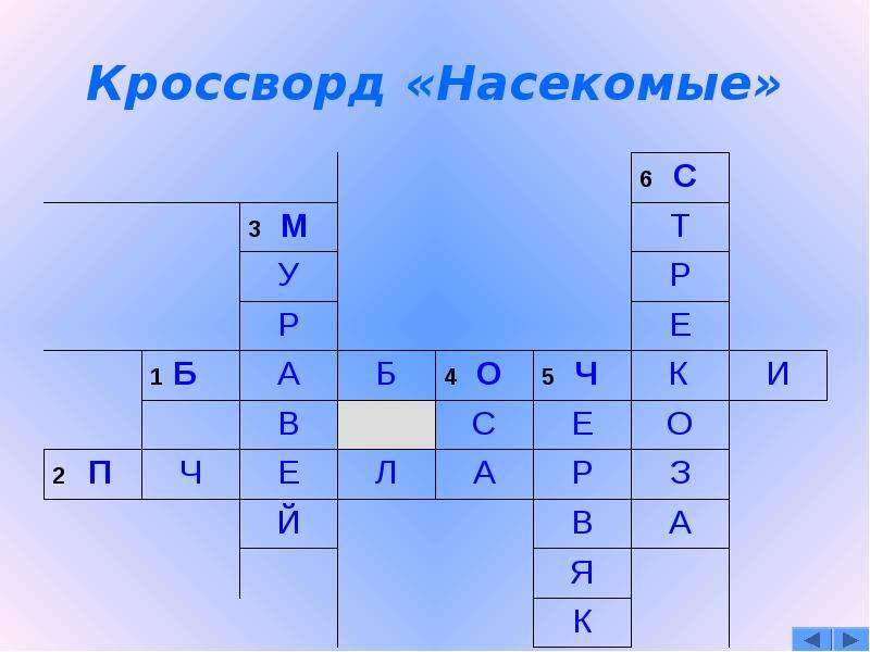 Кроссворд насекомые. Кроссворд на тему насекомые. Кроссворд по насекомым. Кроссворд про насекомых с ответами.