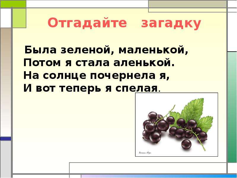 Сначала маленький потом. Была зелёной маленькой потом я стала аленькой. Была зелёной маленькой потом я стала аленькой на солнце почернела. Загадка была зеленой маленькой. Загадка была зеленой маленькой потом я стала аленькой.