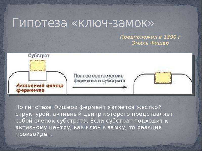 Принцип ключ замок. Гипотеза ключ замок. Модель Фишера ключ замок. Теория Фишера ключ-замок. Ключ замок биохимия.