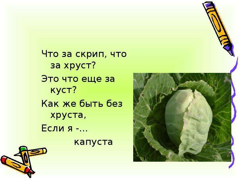 Скрип скрип топ топ. Загадка про капусту. Загадка про капусту для детей. Стих про капусту. Загадки на тему капуста.