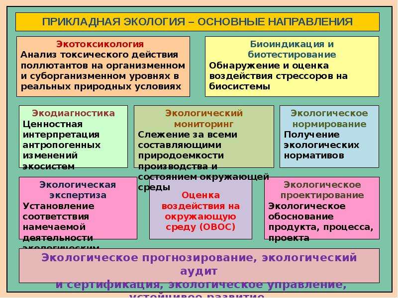 Социально прикладная экология