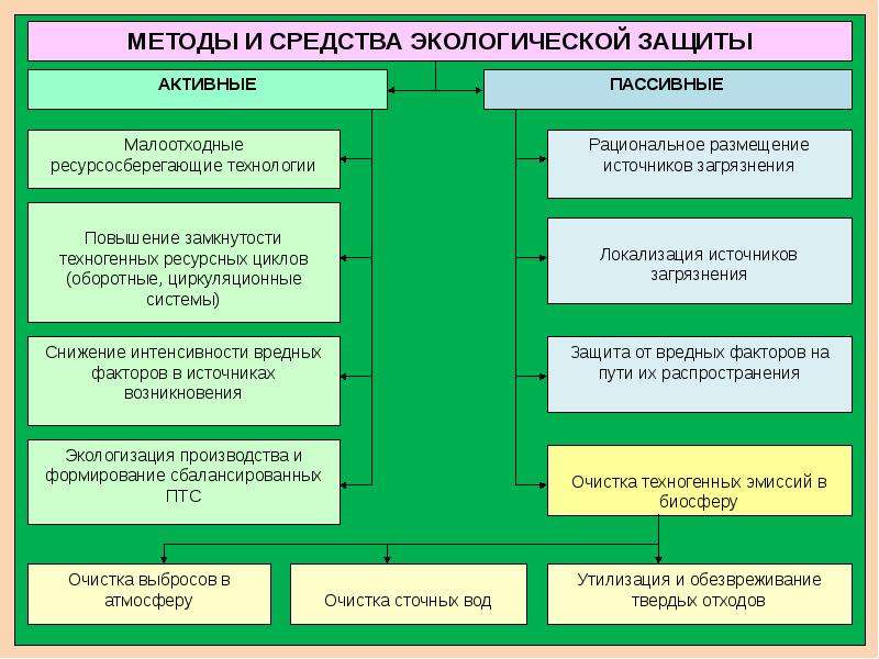 Сущность прикладной экологии презентация