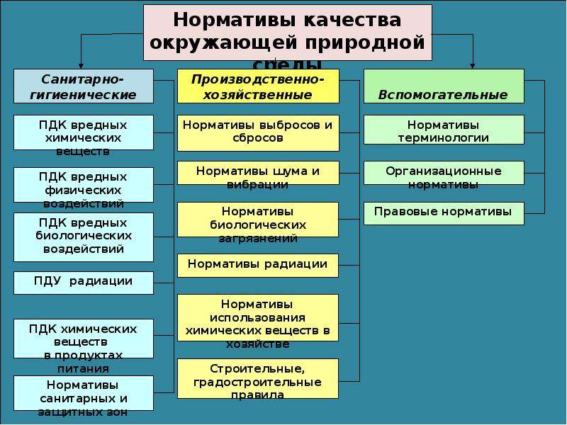 Презентация на тему прикладная экология