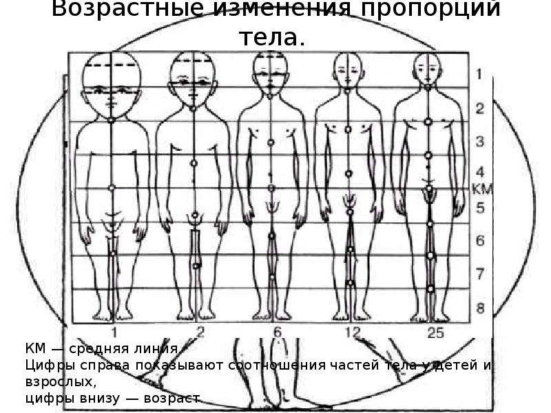 Изменить пропорции картинки онлайн