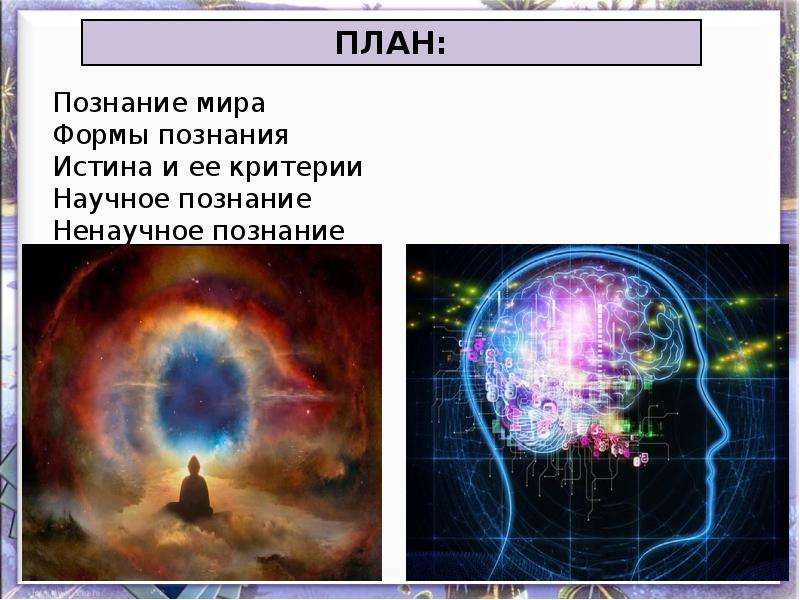 Научное познание план