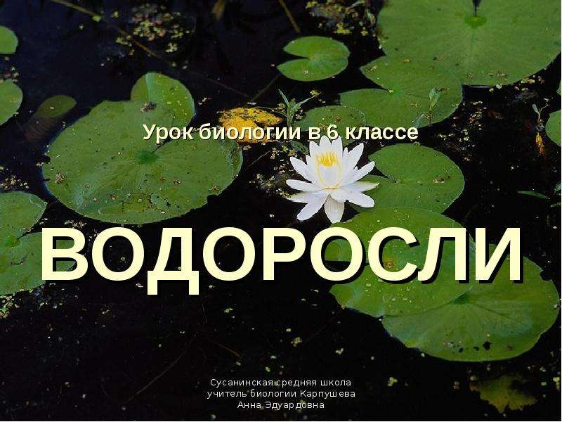 Тест по биологии 6 класс водоросли. Гекалюк 6 класс водоросли. Тест 12 по биологии гекалюк 6 класс водоросли.