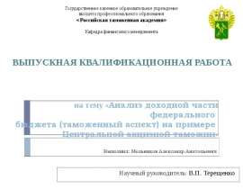 Презентация на тему «Анализ доходной части федерального бюджета (таможенный аспект) на примере Центральной акцизной таможни»