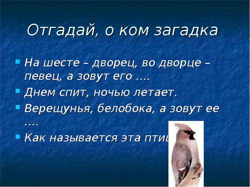 Кома загадки. Отгадай загадку на шесте дворец во Дворце певец а зовут его. Загадка на шесте дворец во Дворце певец. Верещунья белобока а зовут ее. Днем спит на шесте дворец ночью летает во Дворце певец.