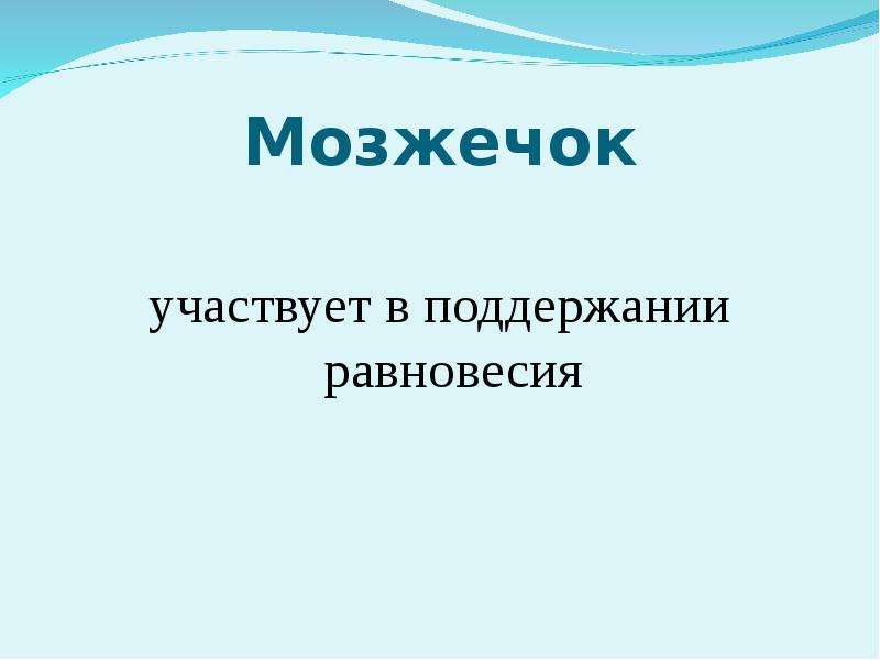 Эволюция нервной системы презентация 7 класс