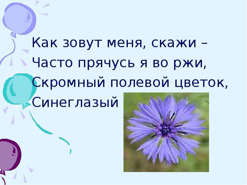 Скажи часто. Как зовут меня скажи часто прячусь я во ржи скромный полевой цветок. Как зовут меня скажи часто прячусь. Как зовут меня скажи часто. Часто прячусь я во ржи скромный полевой цветок Синеглазый.