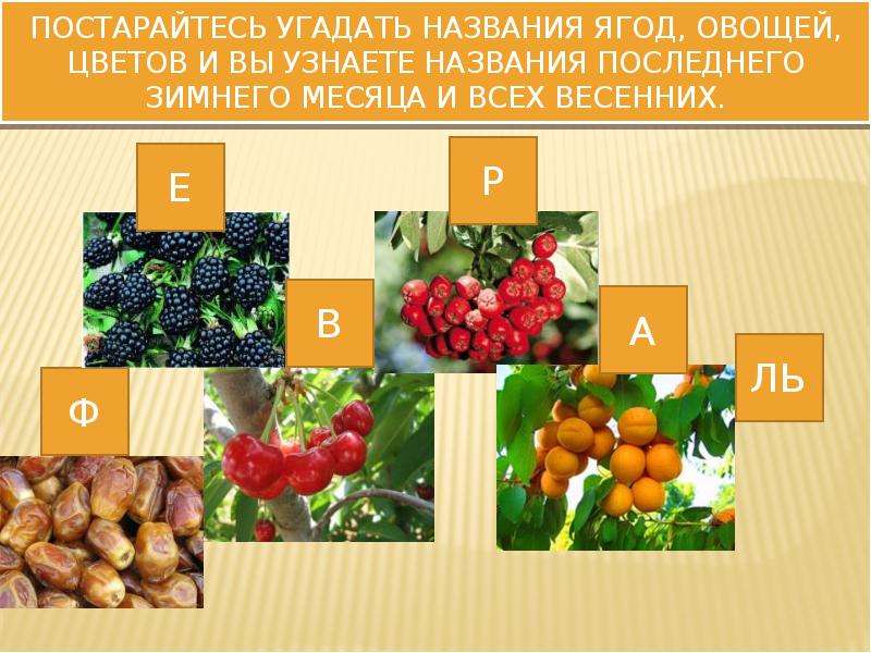 Посмотри называется. Отгадай названия растений. Растения детям угадывать названия. Названия цвета Угадай. Ка определить ягоду и овощ.