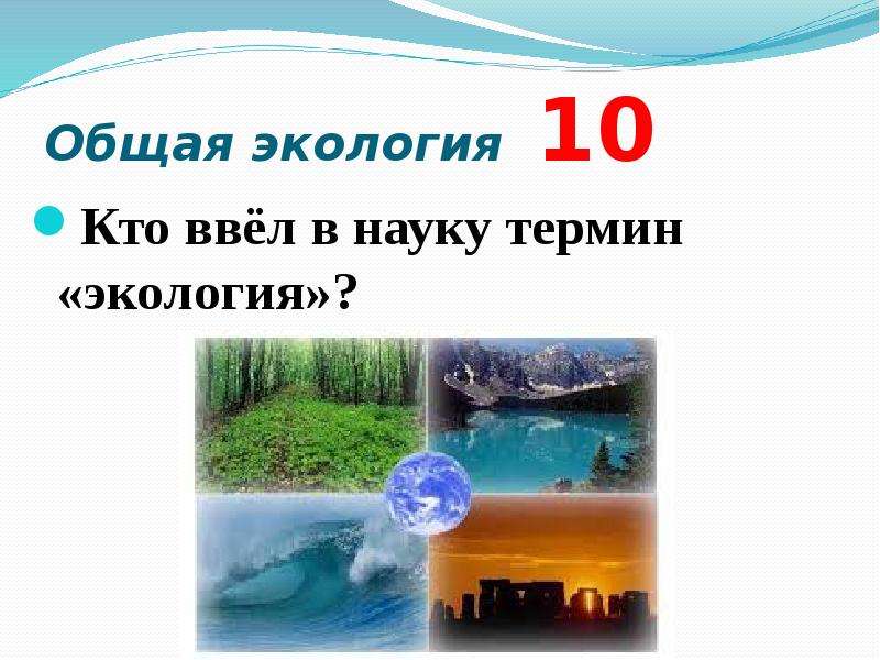 Проект по экологии 10 11 класс