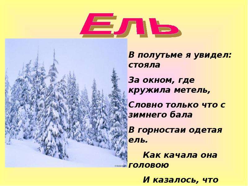 Ели надели. Сочинение на тему зима. В полутьме я увидел стояла за окном где кружила метель. Сочинение на тему февральские Сумерки. Словно только что с зимнего бала, в горностаи одетая ель.