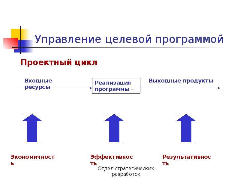 Система стратегического управления. Подсистемы стратегического управления. Управление целевой программой. Стратегическое управление городом.